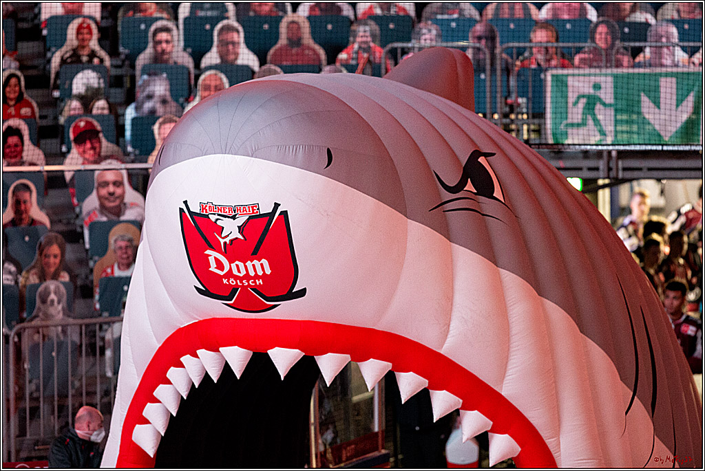 PENNY DEL;  Koelner Haie - Duesseldorfer EG ; Koeln, 17.12.2020